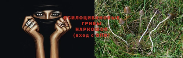 ALPHA PVP Баксан