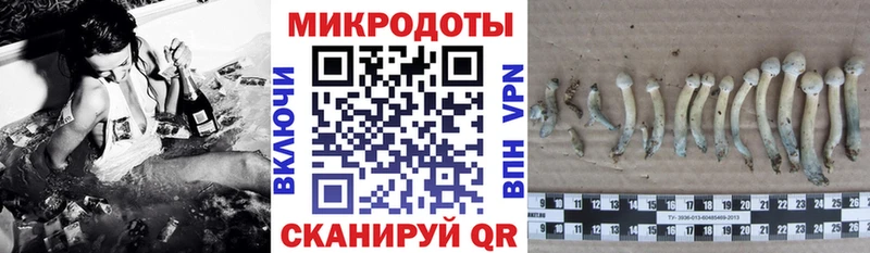 Псилоцибиновые грибы Psilocybe  где можно купить наркотик  Нефтегорск 